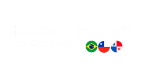 bertech we make it simple-Carlos-pires-consultor