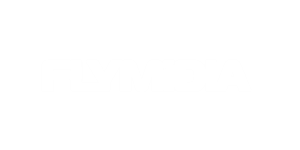 flymidia-Carlos-pires-consultor