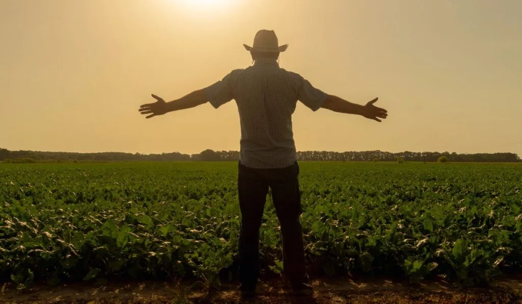 Agronegócio: Impulsionando o Brasil e o Mundo